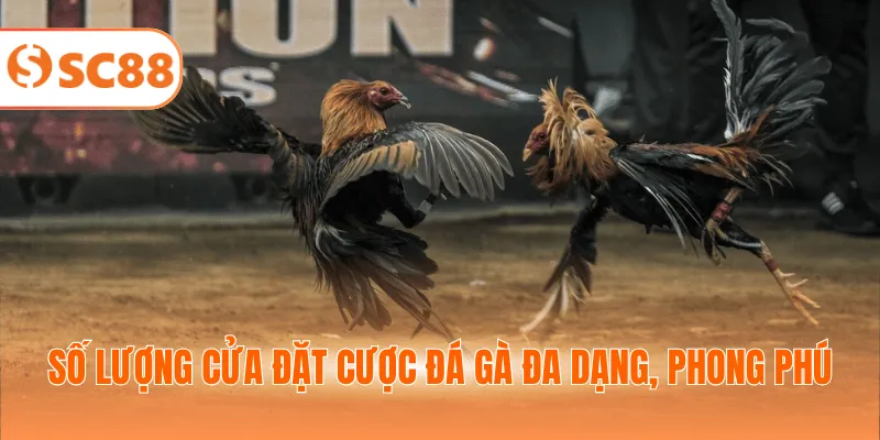 Số lượng cửa đặt cược đá gà đa dạng, phong phú